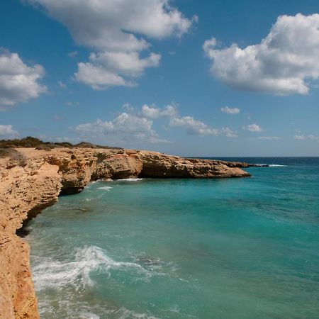 Dafnis Koufonisia Apartment Екстериор снимка